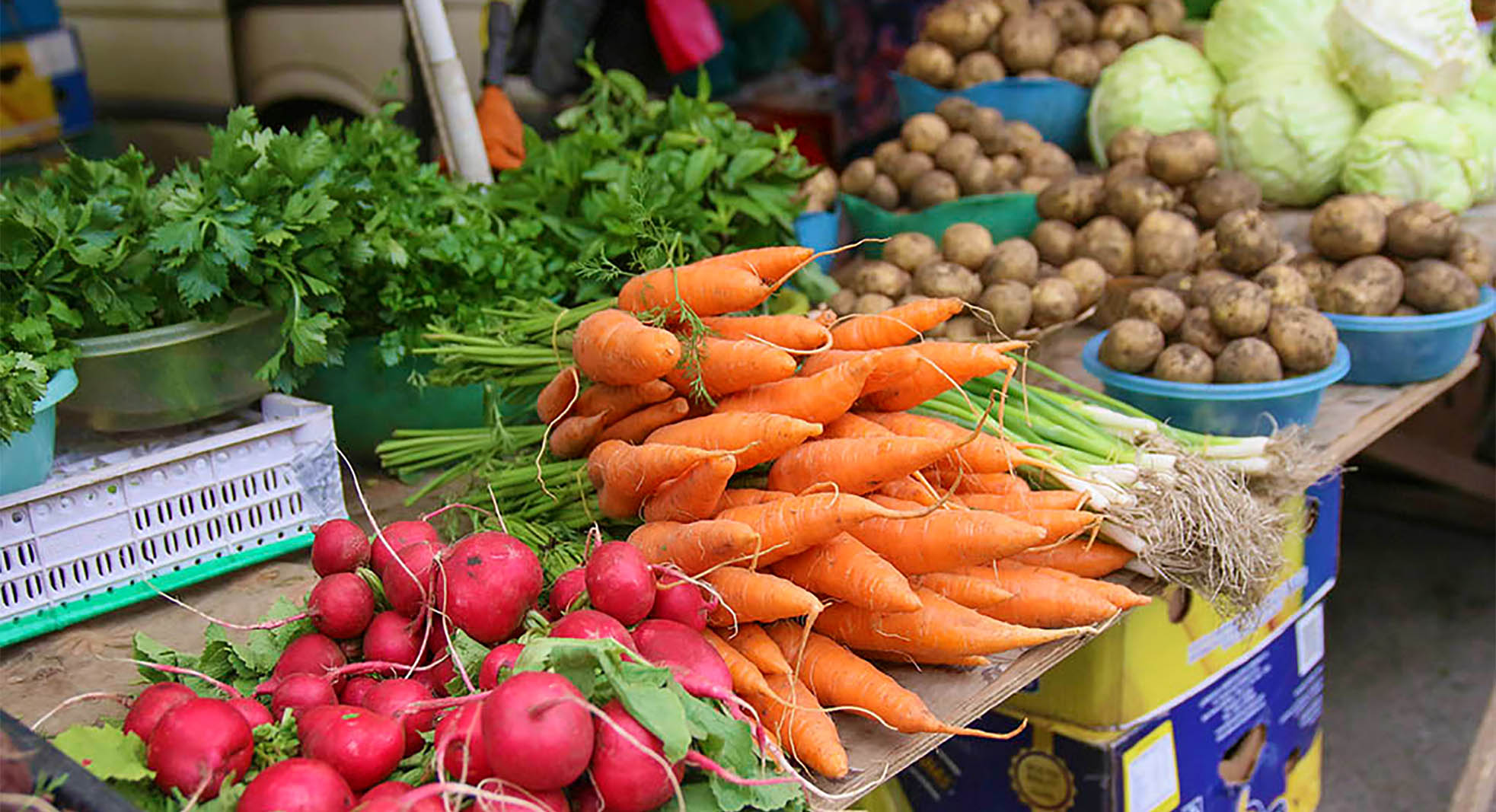 Сбор урожая на даче. Урожай овощей. Продавать урожай. Продовольственная ярмарка. Продать урожай.